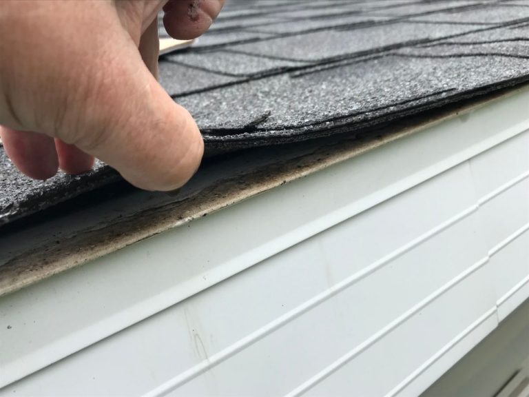 Roof Shingle Hail Damage on a roof in Lakeville, Minnesota