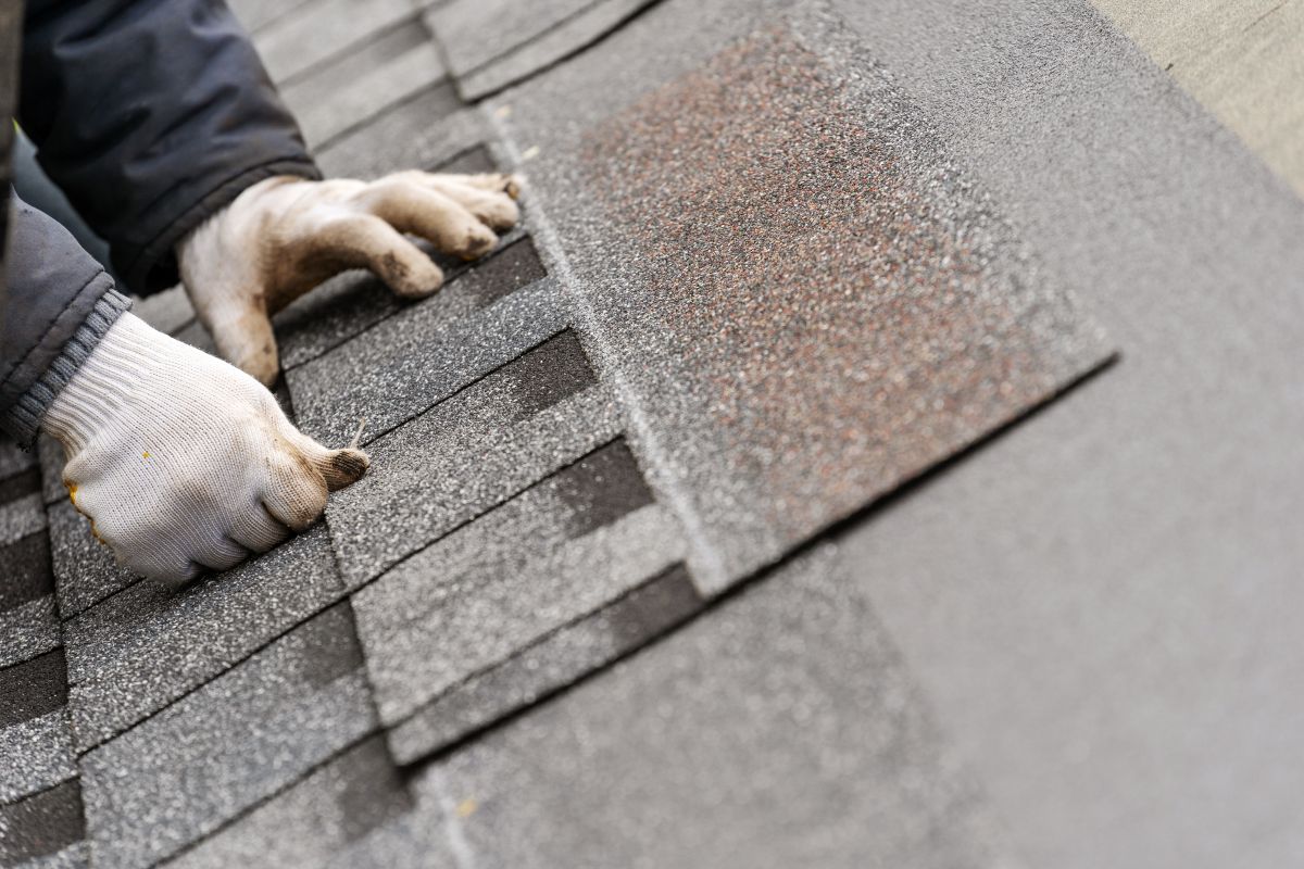 hand installing asphalt shingles on a roof, in Lakeville