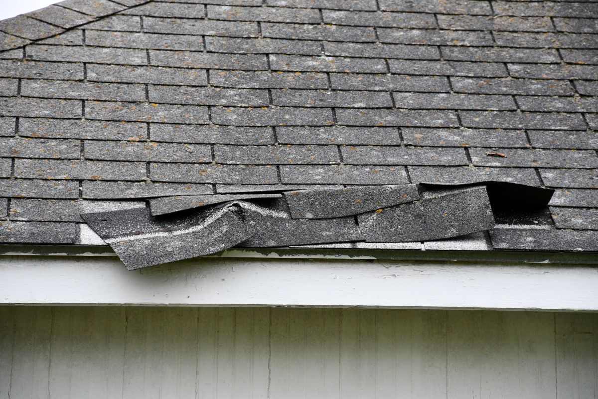shingle damage after hail storm in Lakeville